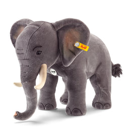 Studio Elephant