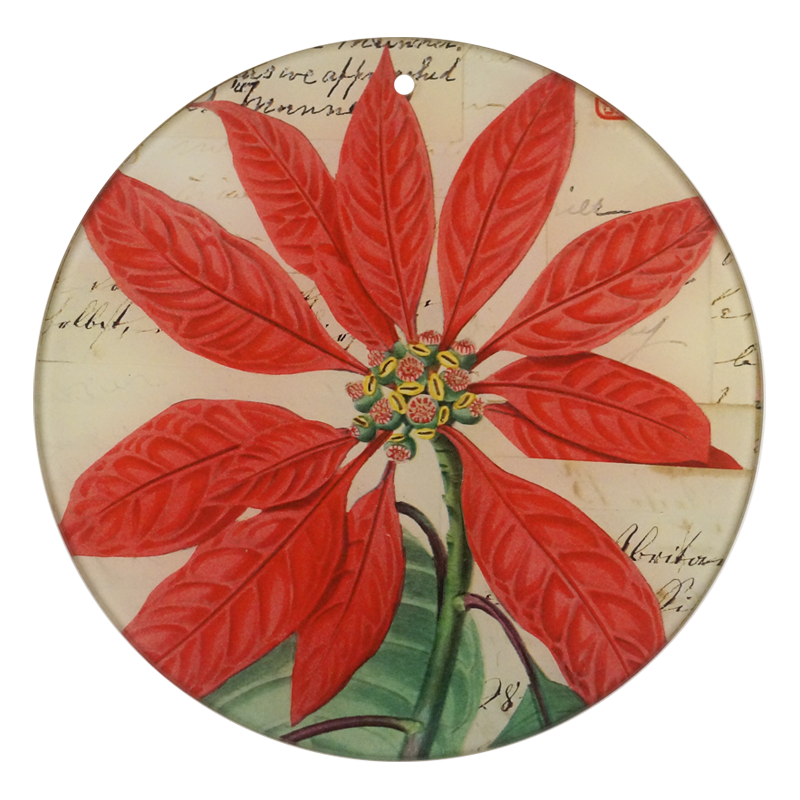 Poinsettia