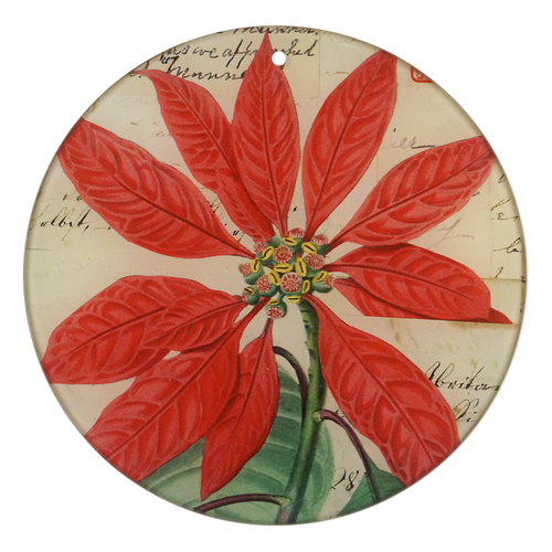 Poinsettia