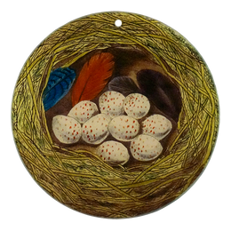 Green Wren Nest & Eggs