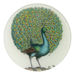 Coy Peacock