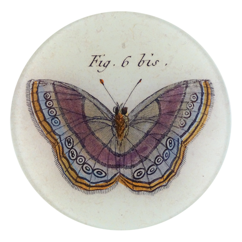 Fig. 6 bis Butterfly