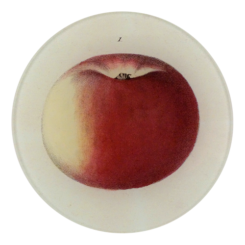Lady Apple 1