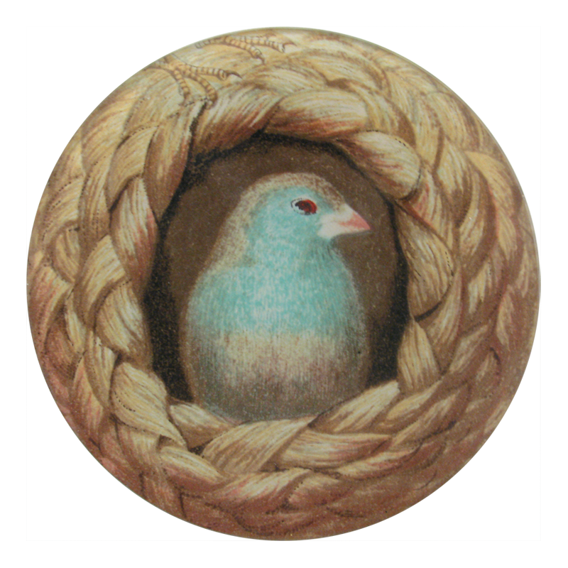 A five inch round glass plate with a collage design of a bird perched on a twine-like structure.