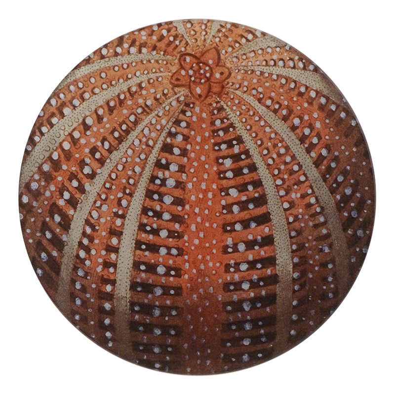 A five inch round glass plate featuring a red sea urchin design with a central floral motif and radiating patterns.