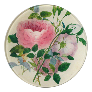Rose Sprig