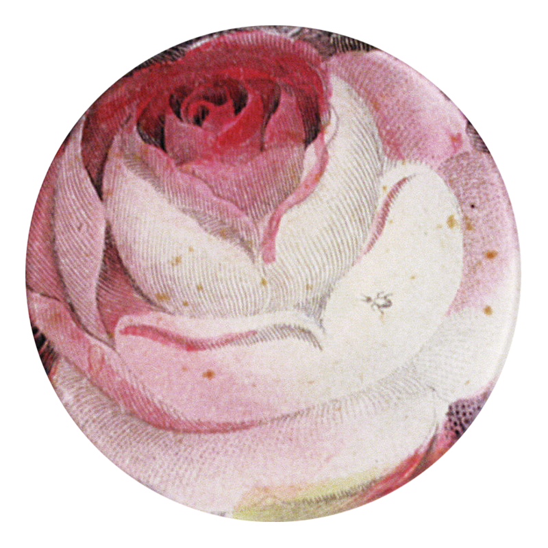 A five inch round glass plate featuring a  rose under with a small any on a petal.
