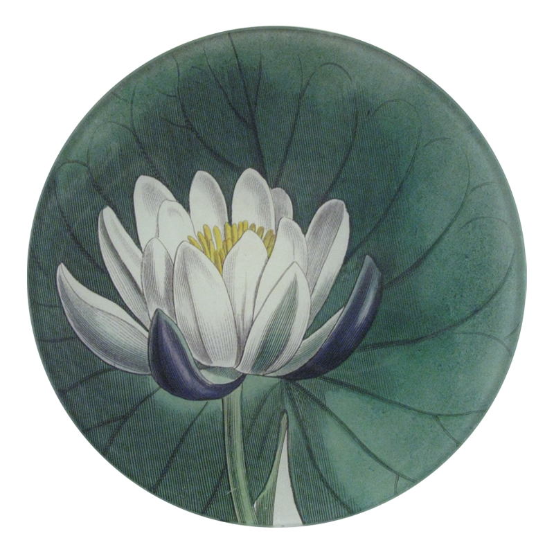 A five inch round glass plate featuring a design of a water lily.