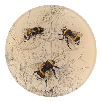 Common Bumble Bees
