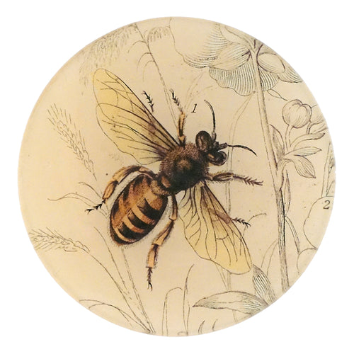 Honey Bee (Facing Right)