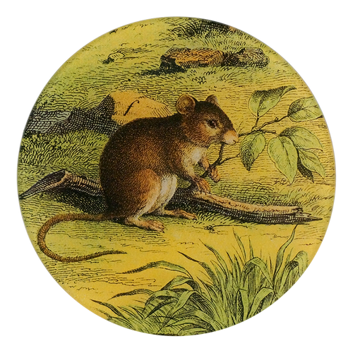 Mouse with Branch