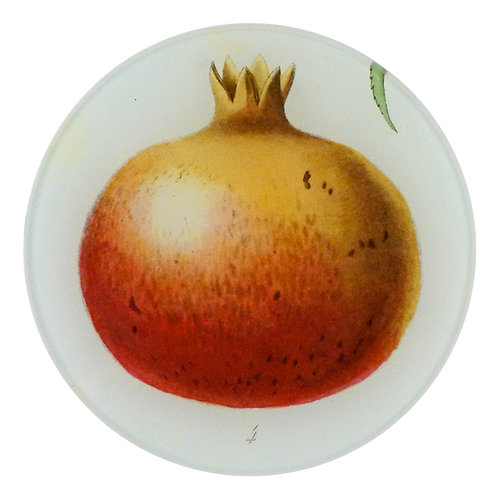 Pomegranate 4