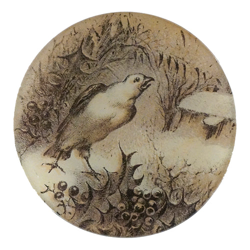 Winter Bird - FINAL SALE