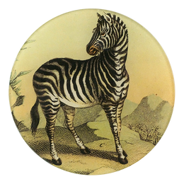Zebra - FINAL SALE