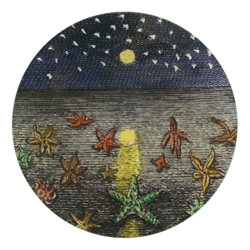 Starfish at Night - FINAL SALE