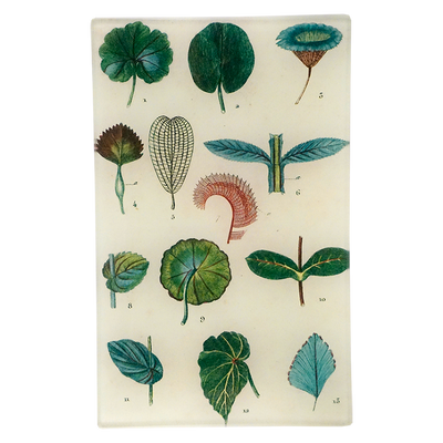Feuilles (Leaves)