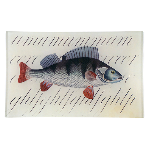 Fish with Script