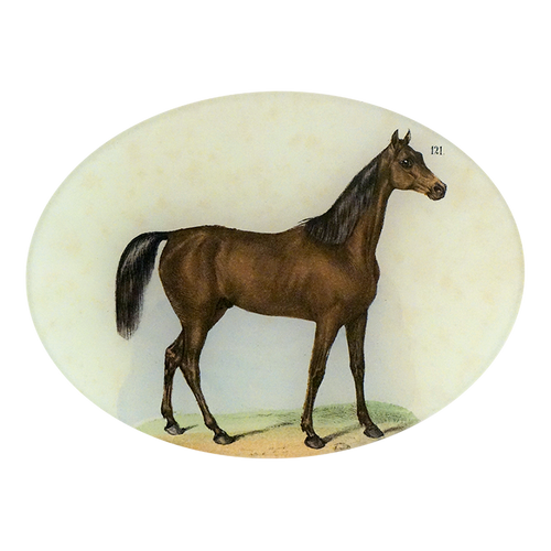 Horse #121