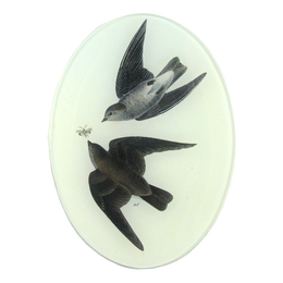 Rough Winged Swallow - FINAL SALE