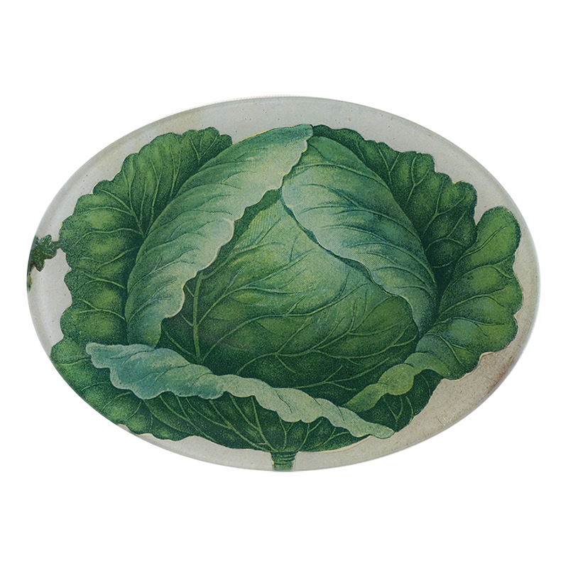 A five inch by seven inch glass plate with a collage of green cabbage leaves.