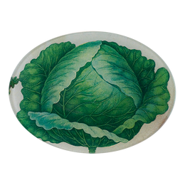 Scrapbook Cabbage