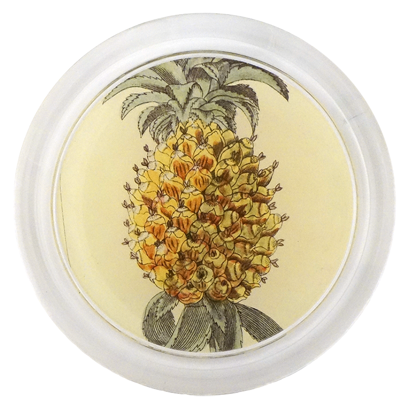 Pineapple Close Up