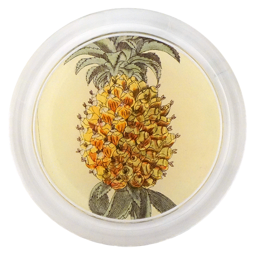 Pineapple Close Up