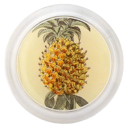 Pineapple Close Up - FINAL SALE