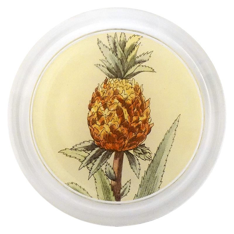 Pineapple in a Pot