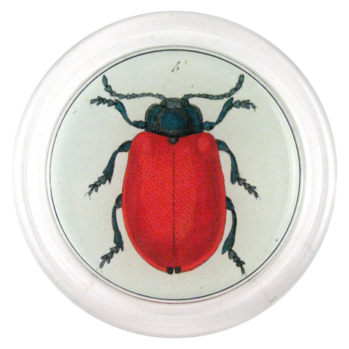 Red Beetle