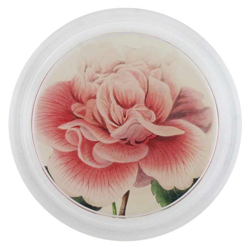 Camellia Blossom 1