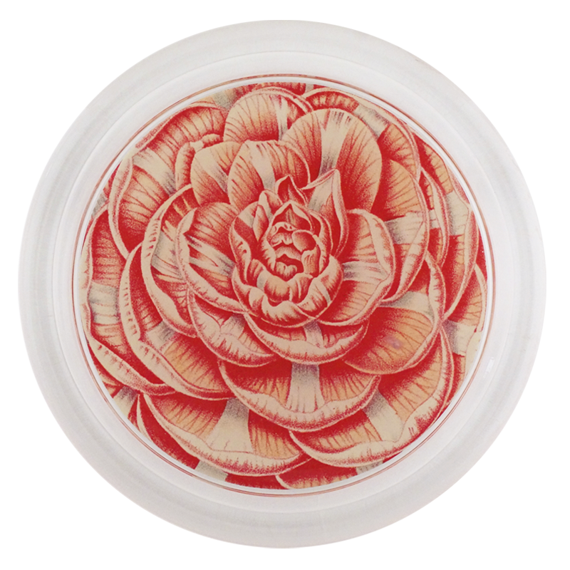 Camellia General Lafayette
