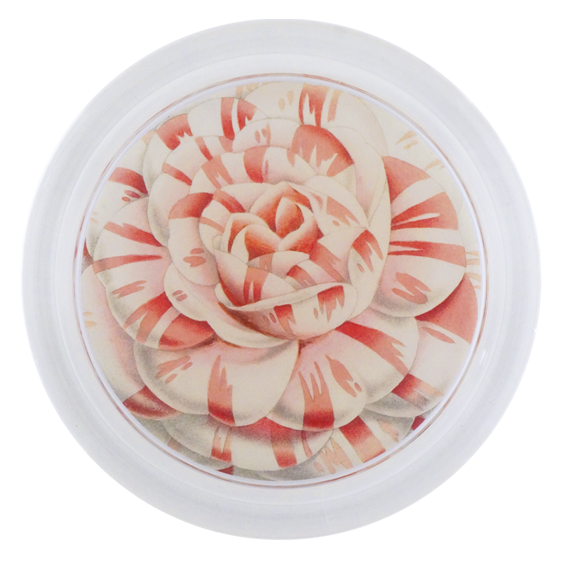 Camellia Japonica Countess of Derby