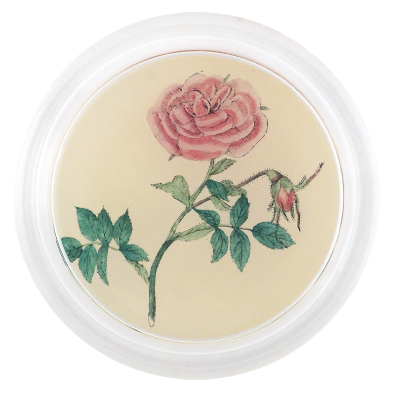 Rose 3