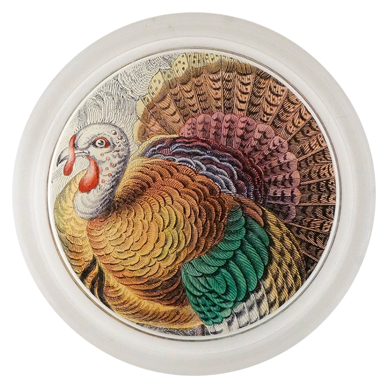 American Wild Turkey