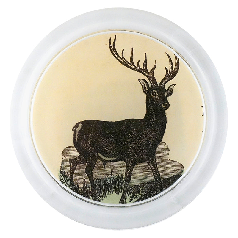 Stag