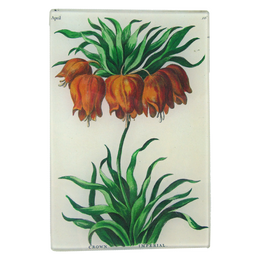 Crown Imperial (Bowles Florists) - FINAL SALE