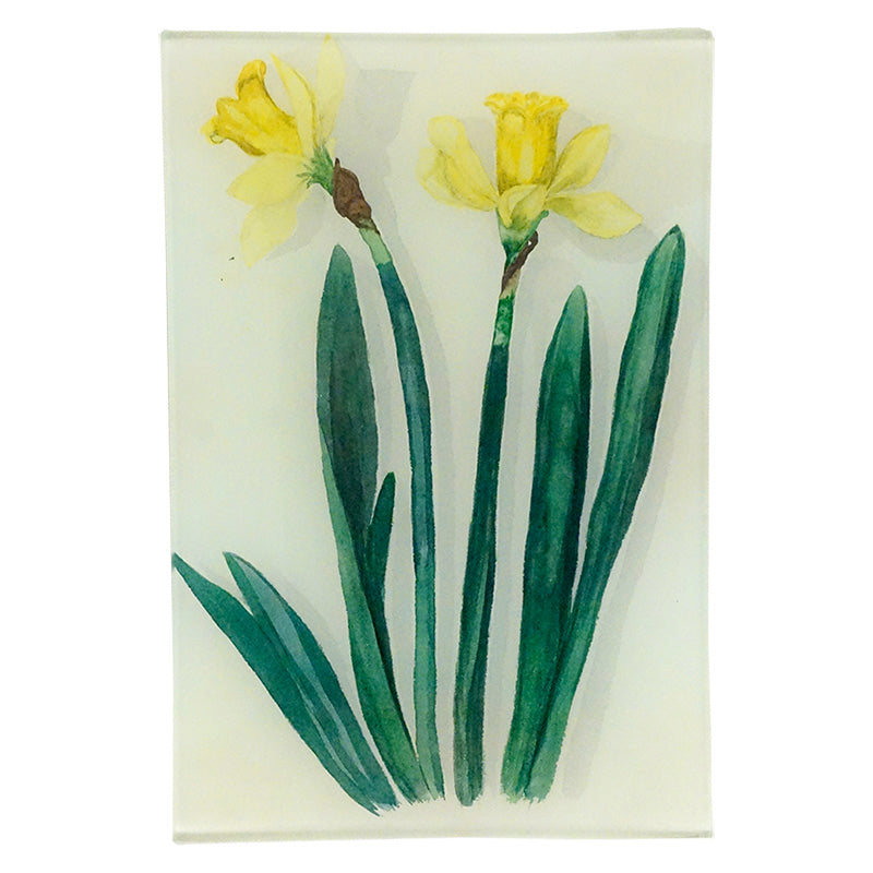 Jonquil