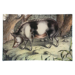 Pig - FINAL SALE