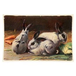 Sepia Rabbits