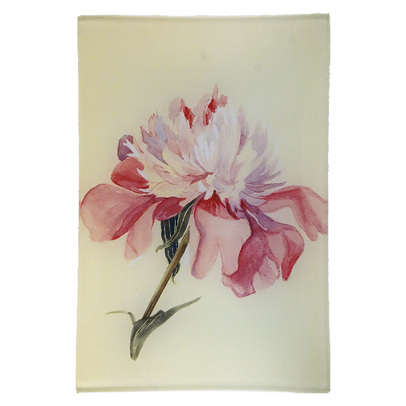 Peony 2