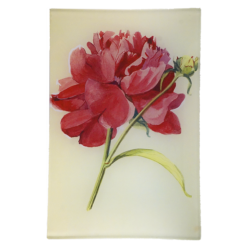 Peony 3