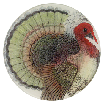 Crested Turkey