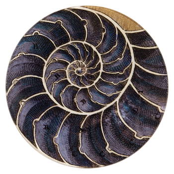 Blue Nautilus