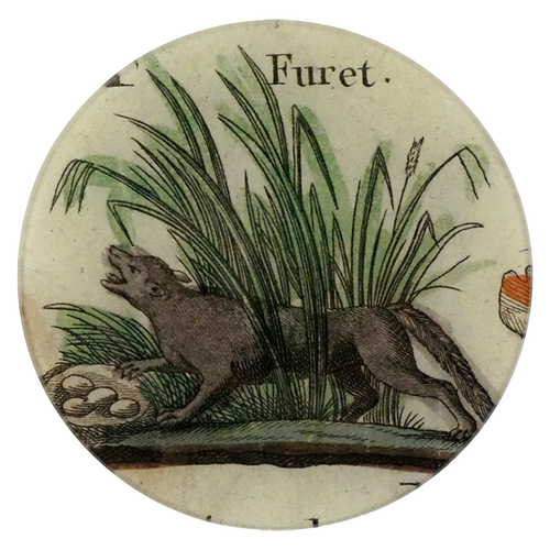 Furet - FINAL SALE
