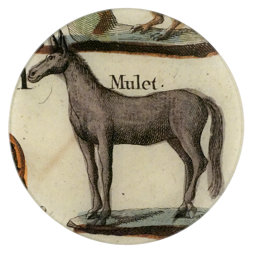 Mulet - FINAL SALE
