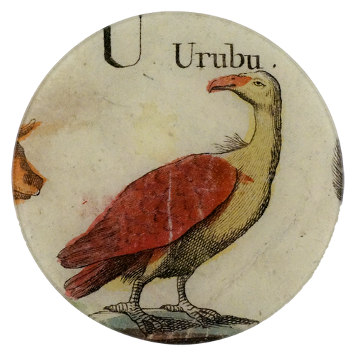 Urubu- FINAL SALE
