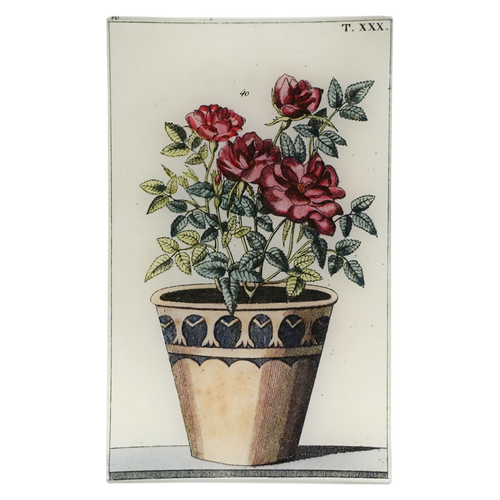 Potted Rose - FINAL SALE