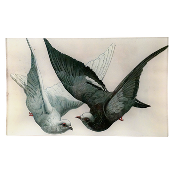 2 Doves