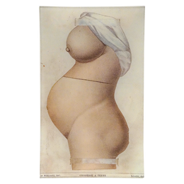 Body Chart (Female) - FINAL SALE